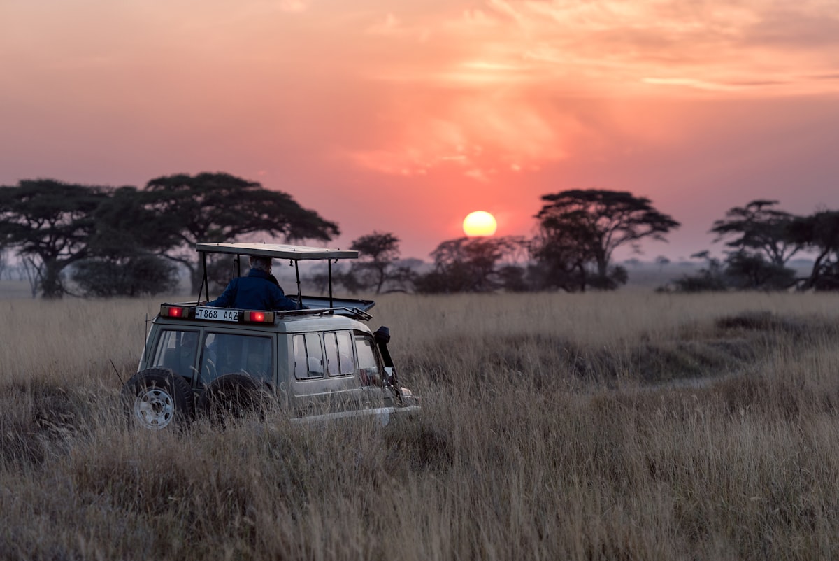 Parc National Kruger